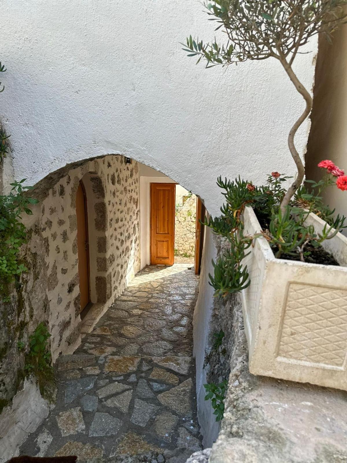 Lion'S Villa Vlorë Εξωτερικό φωτογραφία